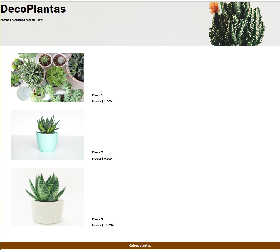 deco-plantas